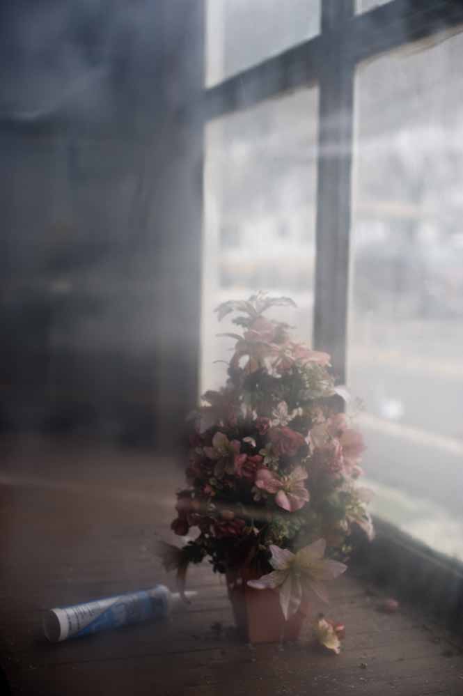 portraits from neon-fleming ky