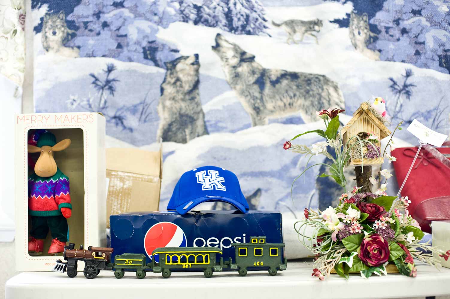 portraits from neon-fleming ky