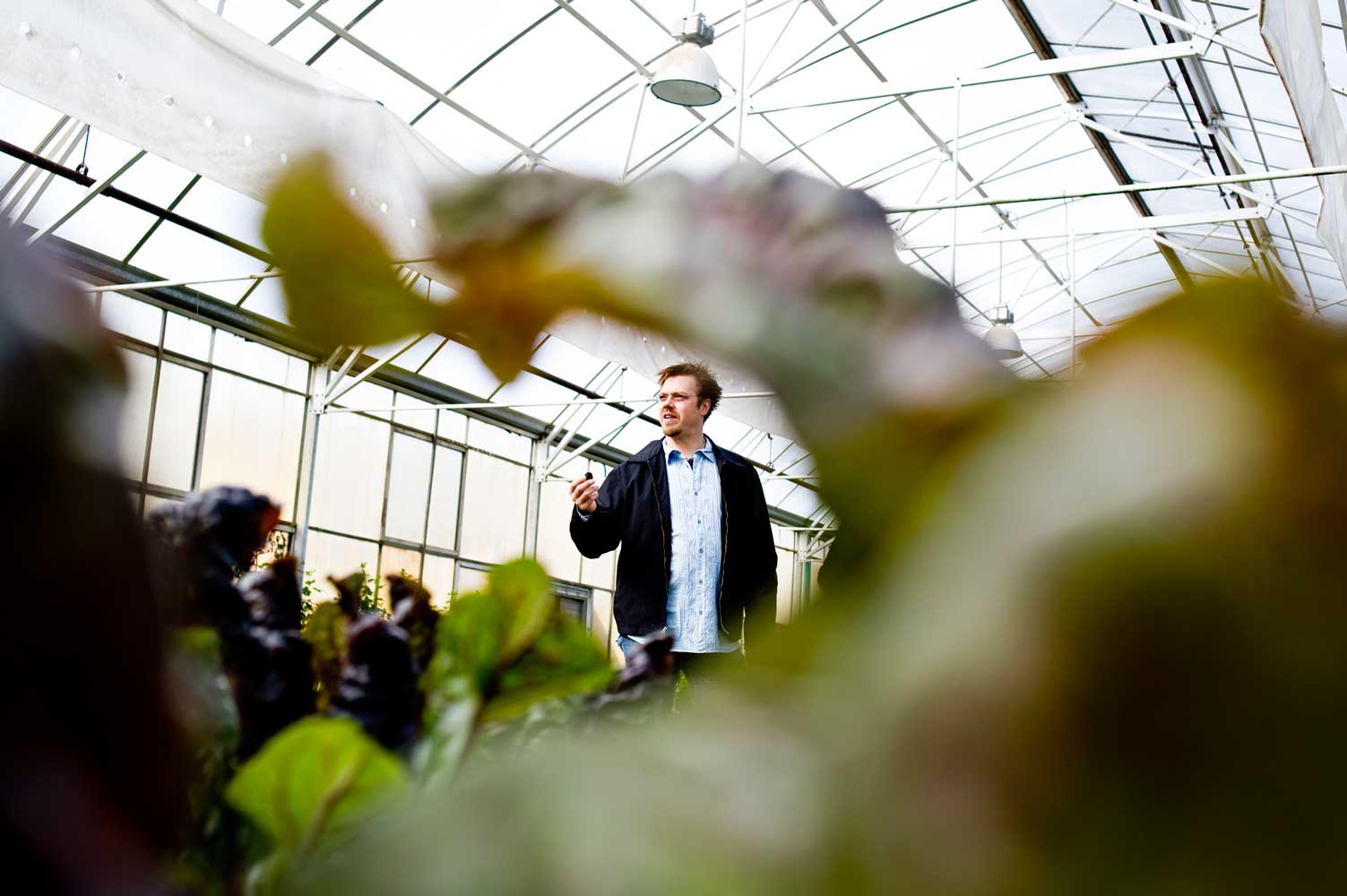 image with artdirection